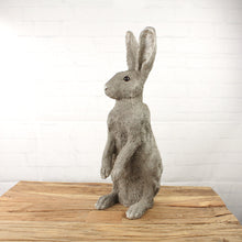 Lade das Bild in den Galerie-Viewer, XXL Osterhase Dekohase Grau 52 cm Hase Osterdeko Dekoration Ostern