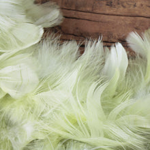Lade das Bild in den Galerie-Viewer, Federkranz Lindgrün 35 cm Dekokranz Kranz Tischdeko Ostern Osterdekoration
