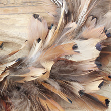 Lade das Bild in den Galerie-Viewer, Federkranz Braun 17 cm od. 24 cm Dekokranz Kranz Deko Ostern