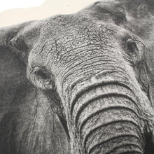 Lade das Bild in den Galerie-Viewer, Dekokissen Zebra oder Zebra