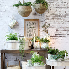 Lade das Bild in den Galerie-Viewer, 2er Set Pflanzentabletts Altweiß oval