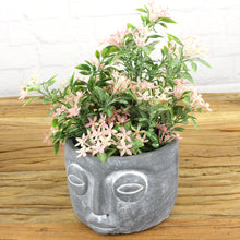 Lade das Bild in den Galerie-Viewer, 3er Set Blumentopf Gesicht Grau