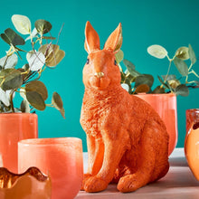 Lade das Bild in den Galerie-Viewer, Hase mit Krone beflockt Magenta oder Orange