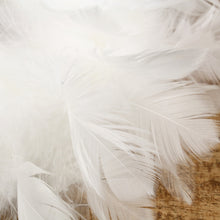 Lade das Bild in den Galerie-Viewer, Federkranz Weiß 20 cm