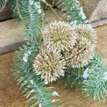 Lade das Bild in den Galerie-Viewer, Kastanie Metallic champanger, Box a 20 St.