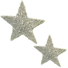 Lade das Bild in den Galerie-Viewer, 2er Set Sisalsterne Silber 30 cm 40 cm