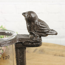 Lade das Bild in den Galerie-Viewer, Regenmesser Vögel, Metall schwarz