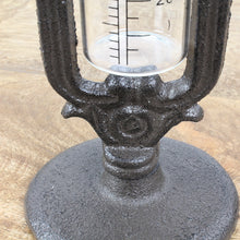 Lade das Bild in den Galerie-Viewer, Regenmesser Vögel, Metall schwarz