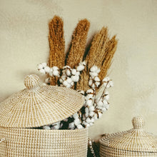 Lade das Bild in den Galerie-Viewer, Bauwoll-Kugel-Zweig, 97 cm Gross mit 18 Blüten