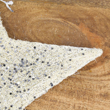 Lade das Bild in den Galerie-Viewer, 2er Set Sisalsterne Silber 30 cm 40 cm