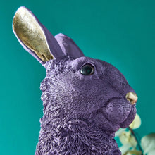 Lade das Bild in den Galerie-Viewer, Hase sitzend lila