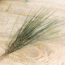 Lade das Bild in den Galerie-Viewer, Seidenkiefer Zweig künstlich