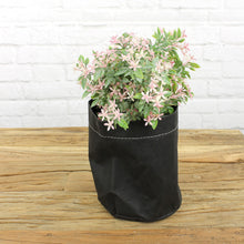 Lade das Bild in den Galerie-Viewer, Blumentopf aus Kraftpapier, schwarz, 2-Set