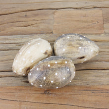 Lade das Bild in den Galerie-Viewer, 3er Set Dekoei Holz Braun Weiß gepunktet