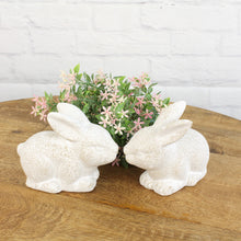 Lade das Bild in den Galerie-Viewer, 2er Set Keramikhase Creme sitzend