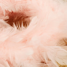 Lade das Bild in den Galerie-Viewer, Federkranz rosa 15 cm