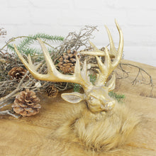 Lade das Bild in den Galerie-Viewer, Hirschkopf Gold mit braunem Fellkragen 25 cm