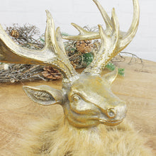 Lade das Bild in den Galerie-Viewer, Hirschkopf Gold mit braunem Fellkragen 21 cm
