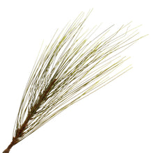 Lade das Bild in den Galerie-Viewer, Seidenkiefer Zweig künstlich