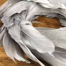 Lade das Bild in den Galerie-Viewer, Federkranz Silber 15 cm