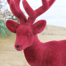 Lade das Bild in den Galerie-Viewer, 2er Set Hirsch stehend Rot samt 24 cm