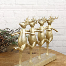 Lade das Bild in den Galerie-Viewer, Hirsch Ballett Gold