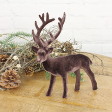 Lade das Bild in den Galerie-Viewer, Hirsch Braun samt