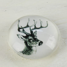 Lade das Bild in den Galerie-Viewer, Magnet Set Hirsch 3D