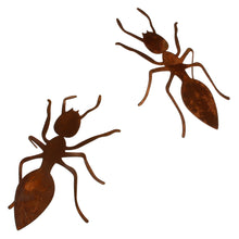 Lade das Bild in den Galerie-Viewer, 2er Set Deko Ameise Metall Echtrost