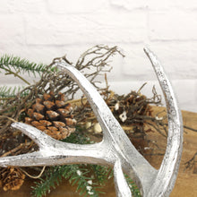 Lade das Bild in den Galerie-Viewer, Hirschkopf Silber mit weißem Fellkragen 25 cm