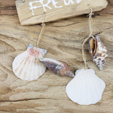 Lade das Bild in den Galerie-Viewer, Holzhänger, maritim, mit Muscheln