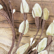 Lade das Bild in den Galerie-Viewer, Kranz, Weidenkätzchen Ø 26 cm