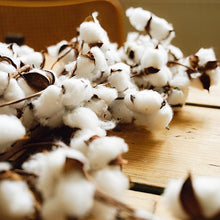 Lade das Bild in den Galerie-Viewer, Bauwoll-Kugel-Zweig, 97 cm Gross mit 18 Blüten