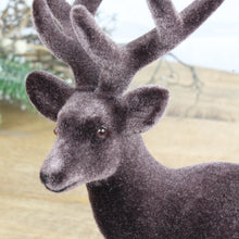 Lade das Bild in den Galerie-Viewer, Hirsch Braun samt