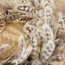 Lade das Bild in den Galerie-Viewer, Federkranz braun 20 cm Feder Dekoration