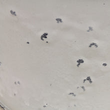 Lade das Bild in den Galerie-Viewer, Blumentopf, Blechtasse Weiß