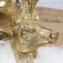 Lade das Bild in den Galerie-Viewer, Hirschkopf mit Fell Gold Weiß groß