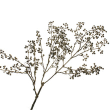 Lade das Bild in den Galerie-Viewer, Beerenstrauch schwarz