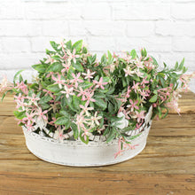 Lade das Bild in den Galerie-Viewer, Krone, Blumenkrone, antikweiss