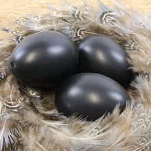 Lade das Bild in den Galerie-Viewer, Ostereier 12er Set in schwarz / Osterdeko Hängedeko