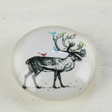 Lade das Bild in den Galerie-Viewer, Magnet Set Hirsch 3D