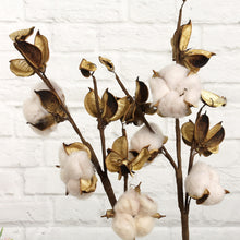 Lade das Bild in den Galerie-Viewer, Baumwoll-Zweig, 2er SET mit je 3 Blüten