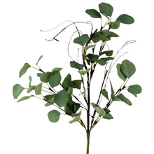Lade das Bild in den Galerie-Viewer, Eykalyptus Zweig, Dekozweig 60 cm Lang