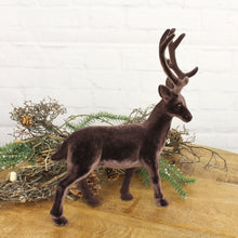 Lade das Bild in den Galerie-Viewer, Hirsch Braun samt 32