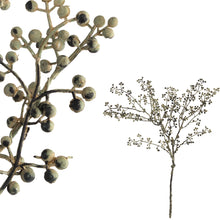 Lade das Bild in den Galerie-Viewer, Beerenstrauch schwarz