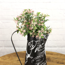 Lade das Bild in den Galerie-Viewer, Dekokanne Zink Schwarz