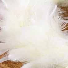 Lade das Bild in den Galerie-Viewer, Federkranz hellgelb 25 cm