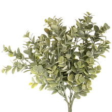 Lade das Bild in den Galerie-Viewer, Eukalyptus-Zweig