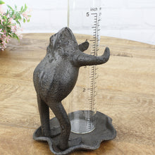 Lade das Bild in den Galerie-Viewer, Regenmesser Frosch, Metall schwarz