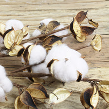 Lade das Bild in den Galerie-Viewer, Baumwoll-Zweig, 2er SET mit je 3 Blüten